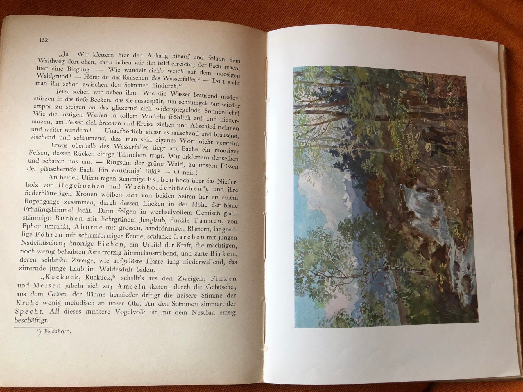 Libri: antikes Kinderbuch, schweizer Jugendschatz ca. 1930 – Usato da Buchs ZH venduto da krenzi 5