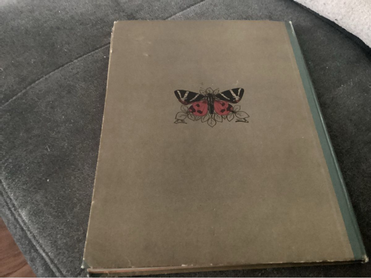 Libri: ANTIKES KINDERBUCH UM 1910 – Usato da Münchenstein venduto da NoSu98 8