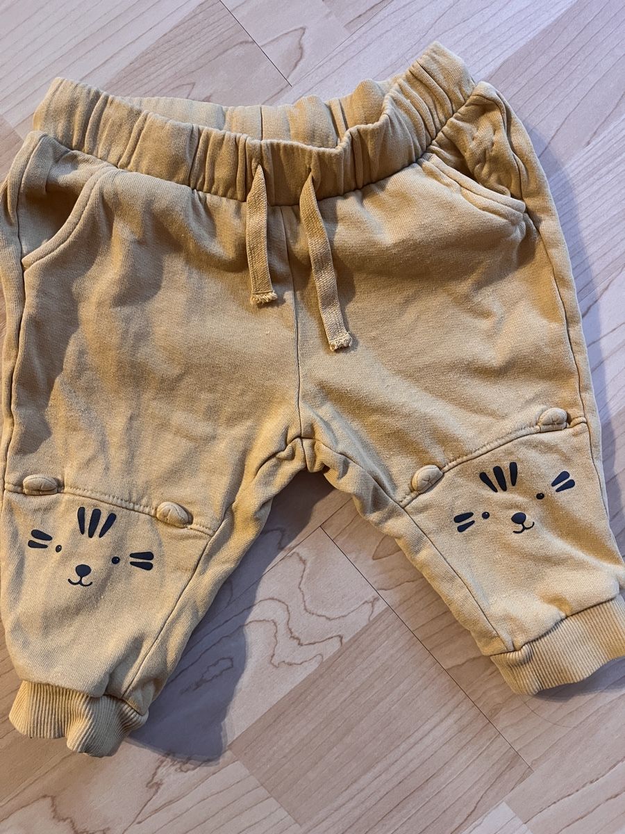 H&M Lotti & Set di vestiti: Süsses Tiger-Set (Pullover & Hose) 🐯 Grösse 74 – Usato da Herisau venduto da giu_j6jr 2