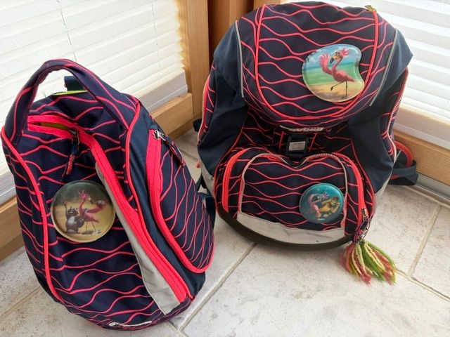 Ergobag Borse & Zaini: Ergobag Schulranze & Sportsack – Usato da Disentis/Mustér venduto da MarisaM01