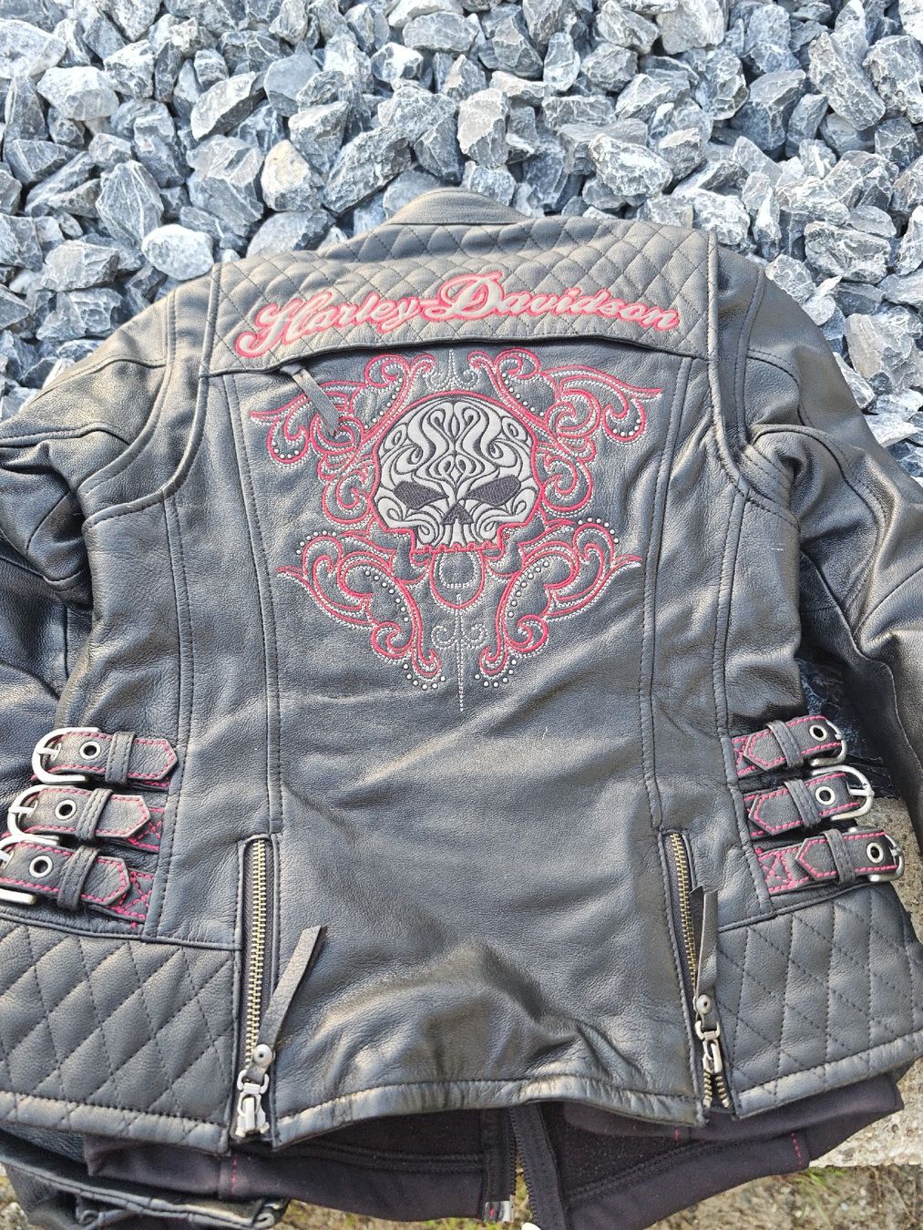 Giacche: Harley Davidson Lederjacke – Usato da Bettlach venduto da jasonm