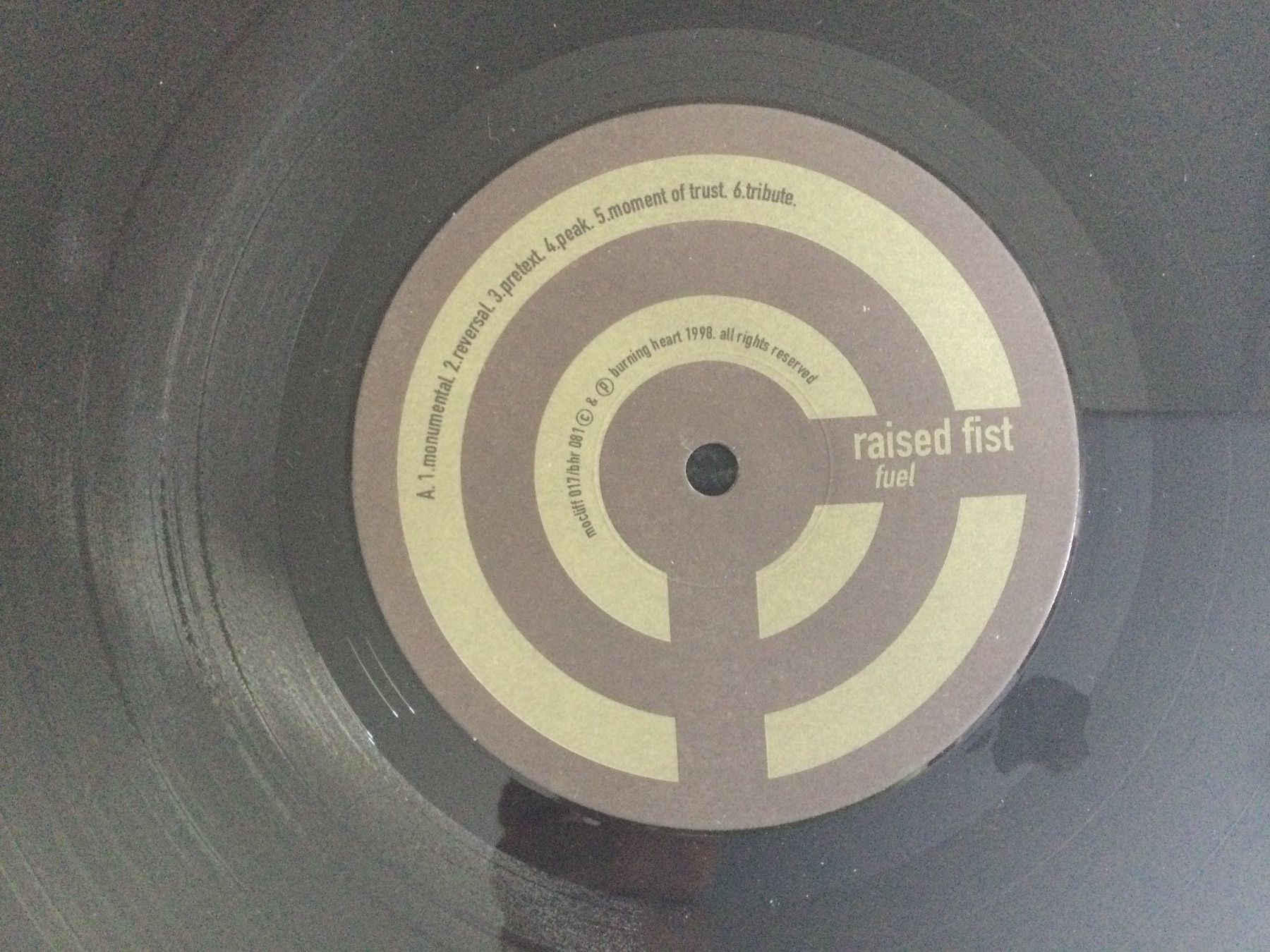 Dischi in vinile: Raised Fist LP - Fuel – Usato da Gutenswil venduto da Hamzian 1