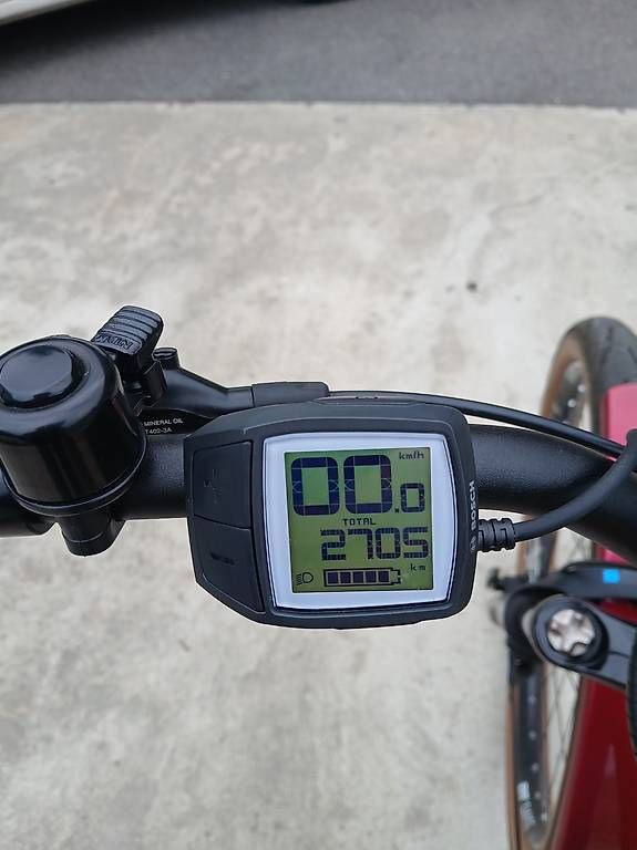 Biciclette: EBike 45 im/h Ibex Efat Frank Neo – Usato da Gordola venduto da tes_mm2y 3