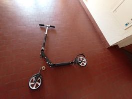 Trottinette für Erwachsene in Einzelteilen