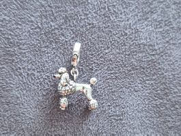 Silber Charm Pudel +Garantie