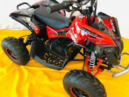 Elektro Quad ATV Kinderquad 1200 Watt 48V Vierrad Töff Moped