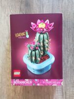 Lego Kaktus