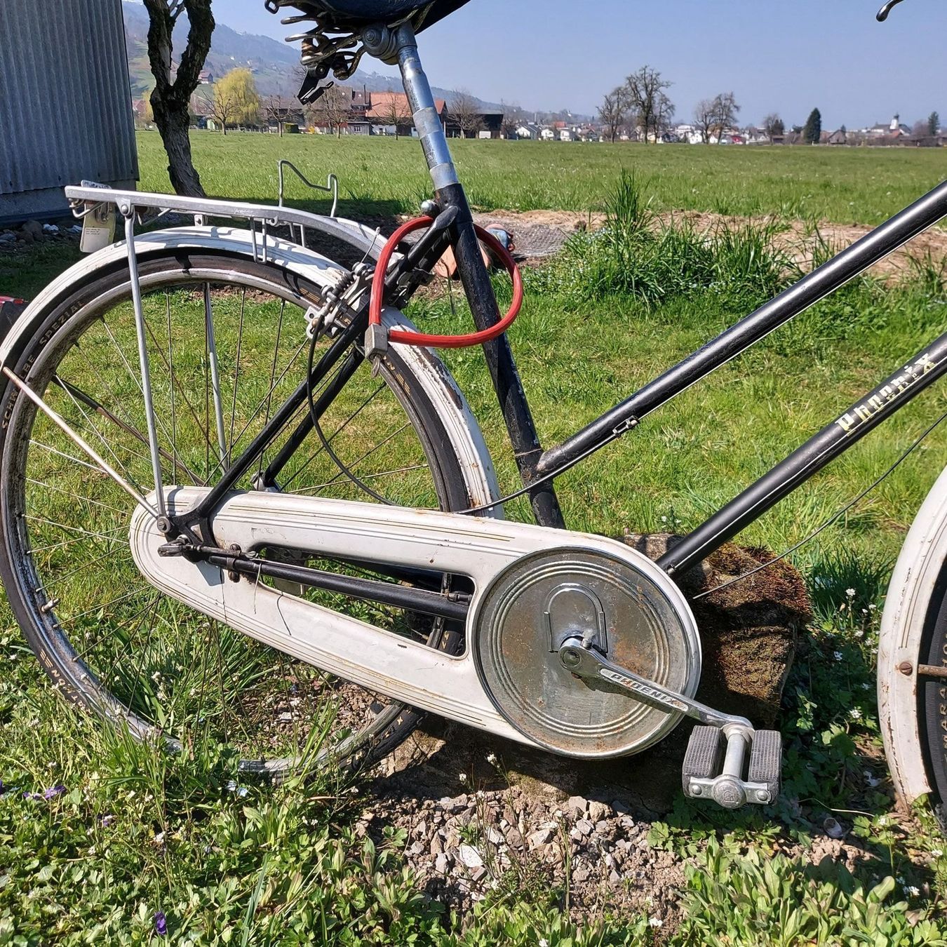 Biciclette: Velo Feng Huan-Phoenix – Usato da Siebnen venduto da Mark_SZ 1