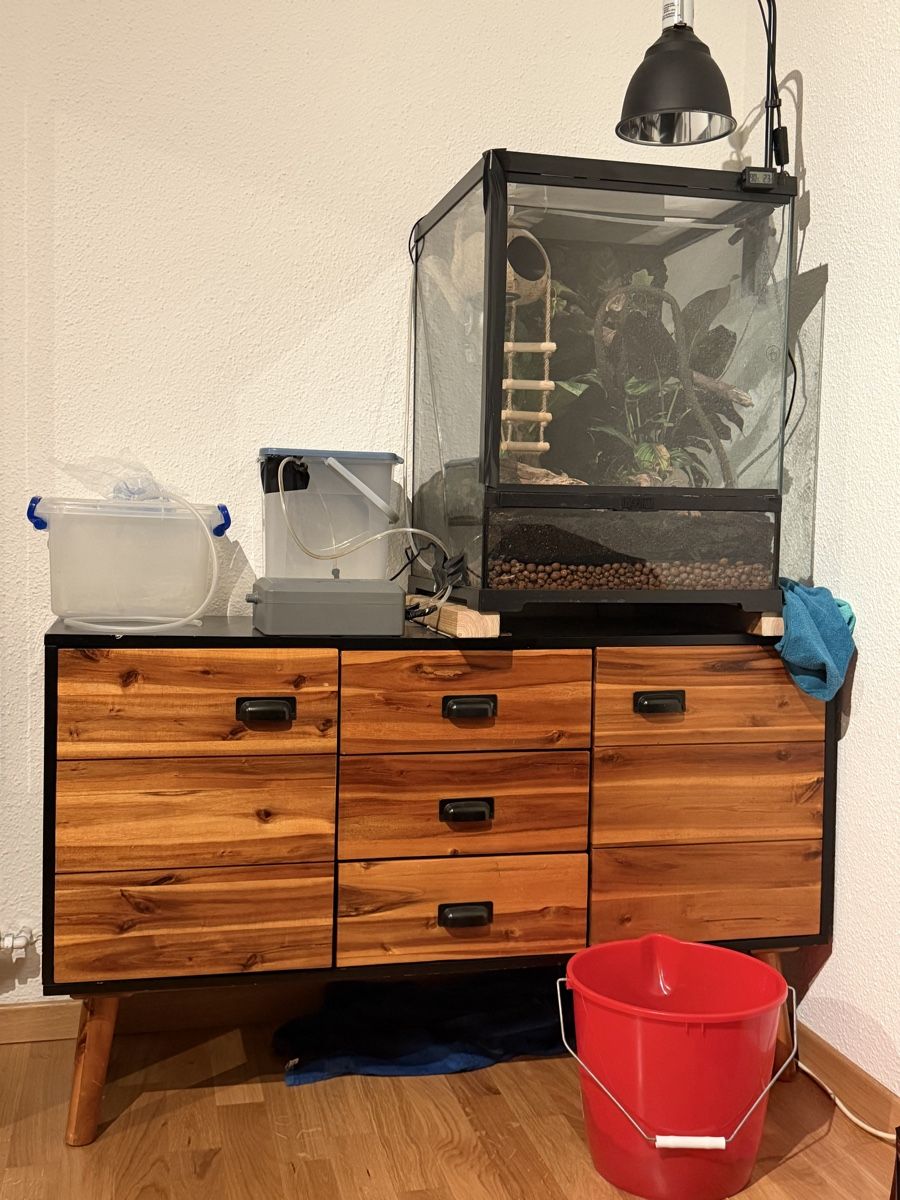 Terrario: Terrarium eingerichtet mit Zubehör – Nuovo (secondo la descrizione) da Opfikon venduto da mbo_668s 2