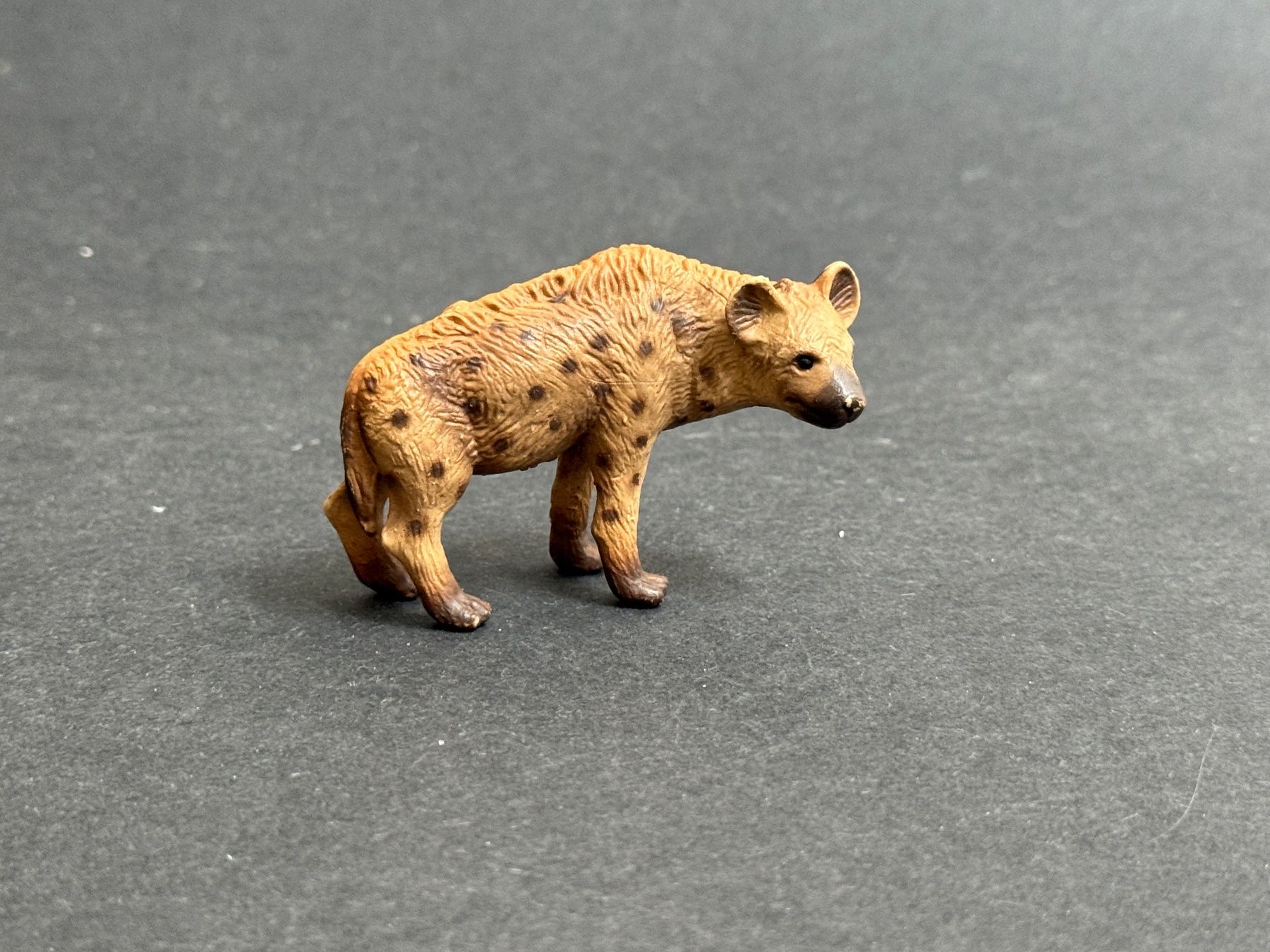 Schleich Statuette: Schleich Hyäne 1996 made in Germany Tüpfelhyäne – Usato da Ennetbaden venduto da mapa05