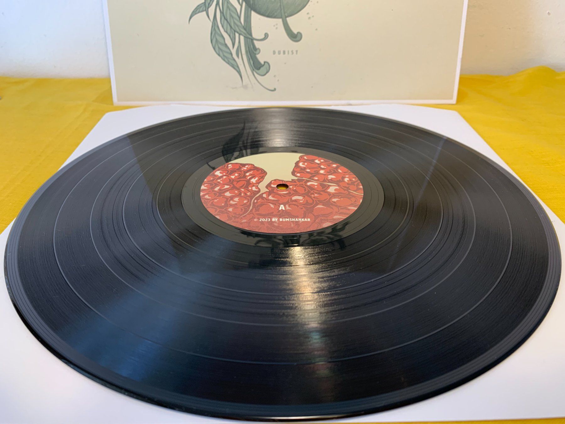 Dischi in vinile: LP BUMShankar - Dubist, 2023 – Usato da Bern venduto da sxlmn 5