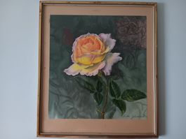 Lotte Günthart-Maag (1914 - 2007)