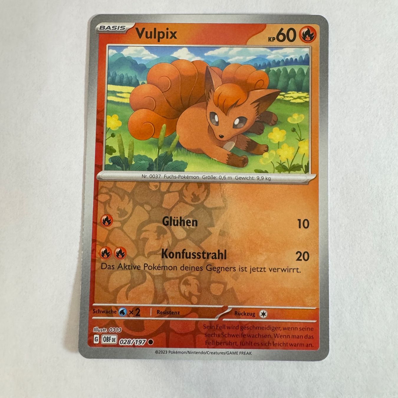 Pokémon Carte collezionabili: Pokémon OBF - Vulpix - 28 / 197 - DE – Nuovo (secondo la descrizione) da Staad SG venduto da miaCards