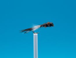 10 verschiedene Fliegen und Nymphen
