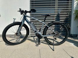 Diamant Zouma M Speed Pedelec 45 km/h – Top Zustand