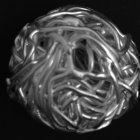 Zwischenteil Halskette Silber (3)