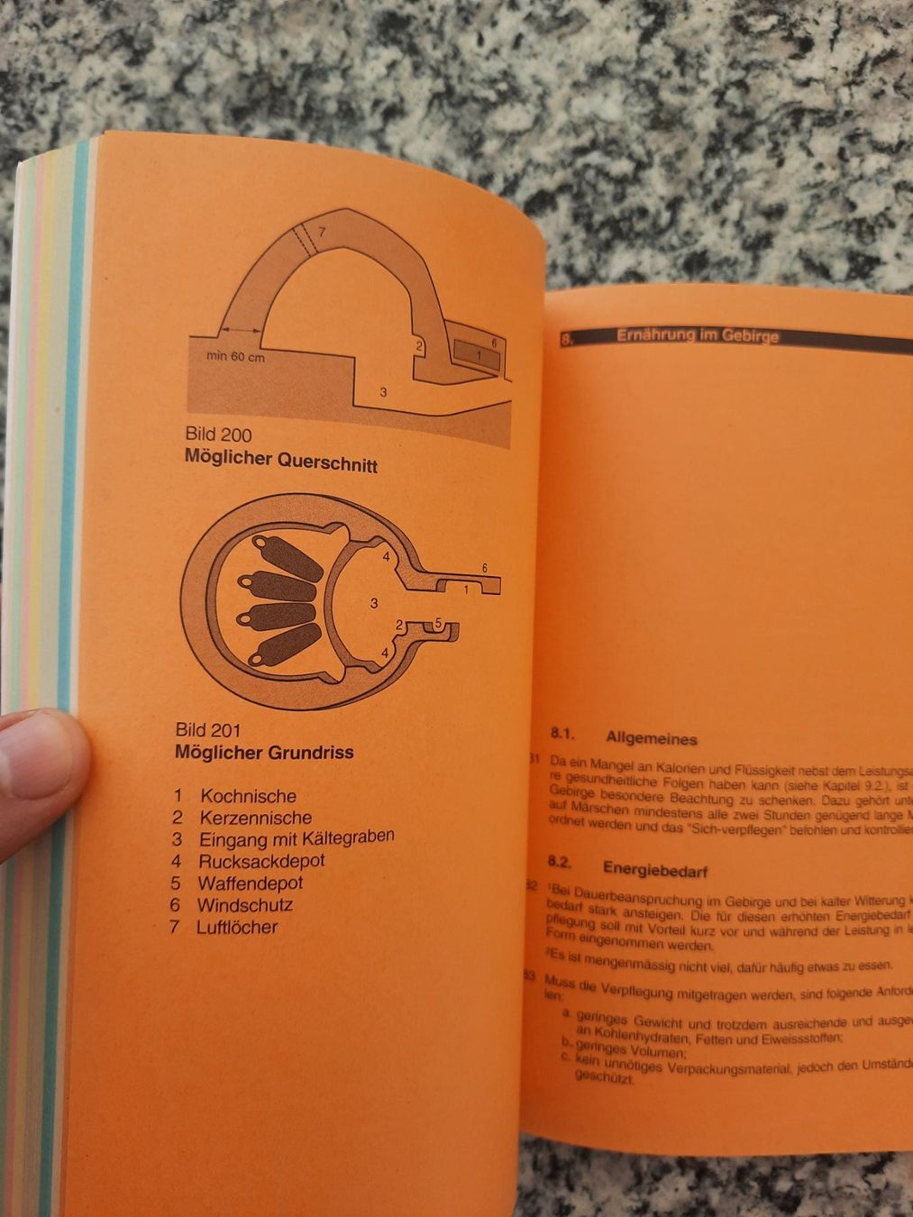 Libri: Gebirgsdienst aller Truppen – Usato da Ruswil venduto da Sammlergeist 5