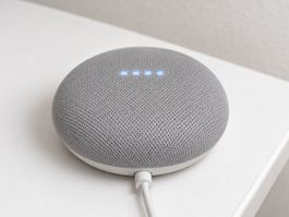 Google Nest Mini 2e génération – alimentation incluse