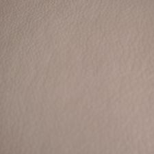 Profile image of tim_2wc7