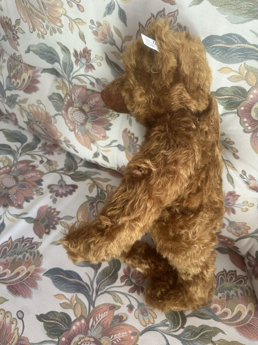 Steiff Jouets: Steiff Teddy 50 cm Neu – Neuf avec emballage d'origine à Herbriggen par Sehrazade 2