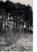Foto-AK BIEL BIENNE NIDAU Bielersee beim Ausfluss 1945 BE 13