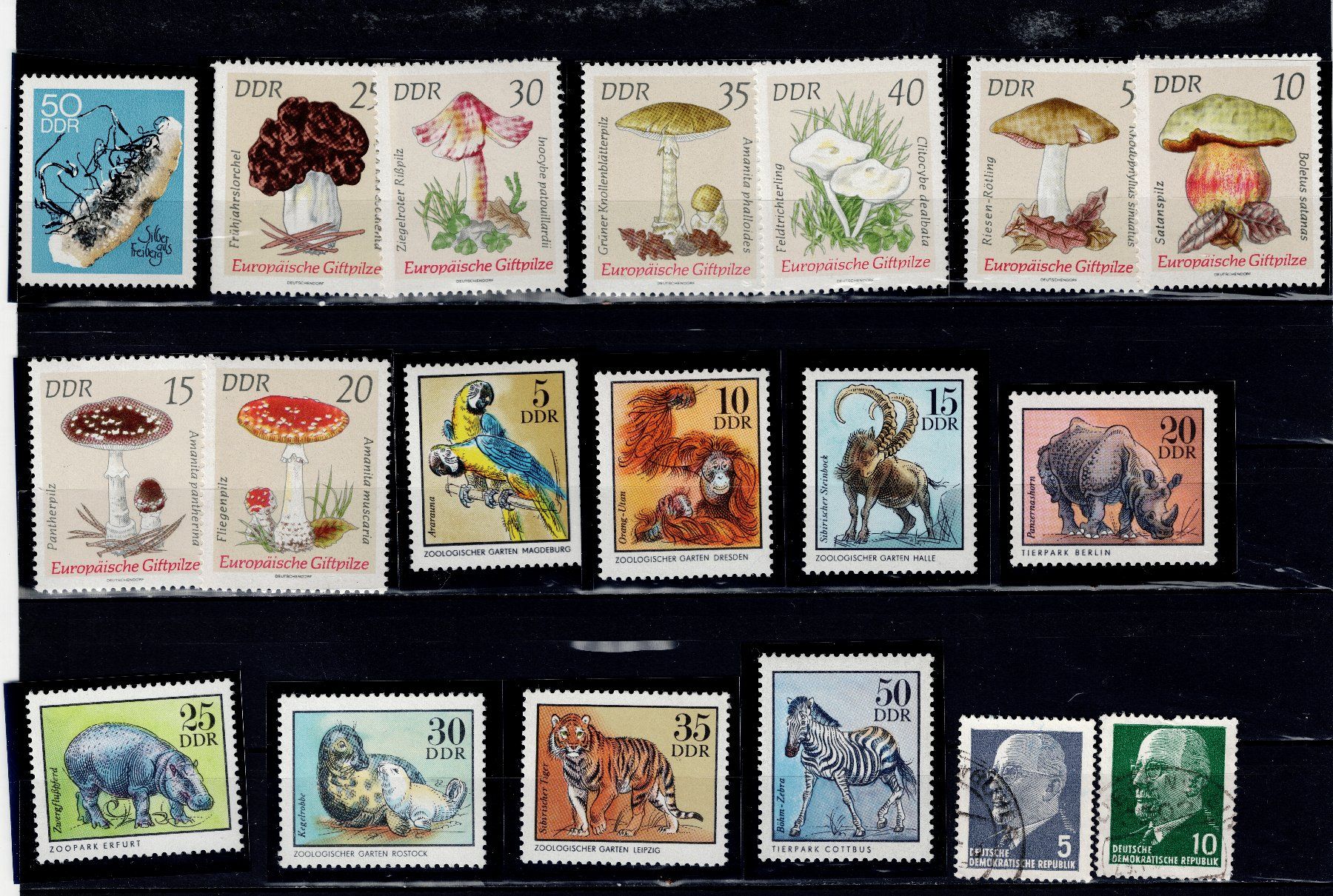 Tutti i francobolli: Briefmarken 42x DDR 17 – Usato da Tenniken venduto da mik_6mxg 1