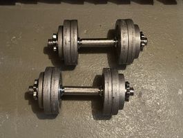 Kurzhantel Set Gorilla Sports Gusseisen (2x15kg)