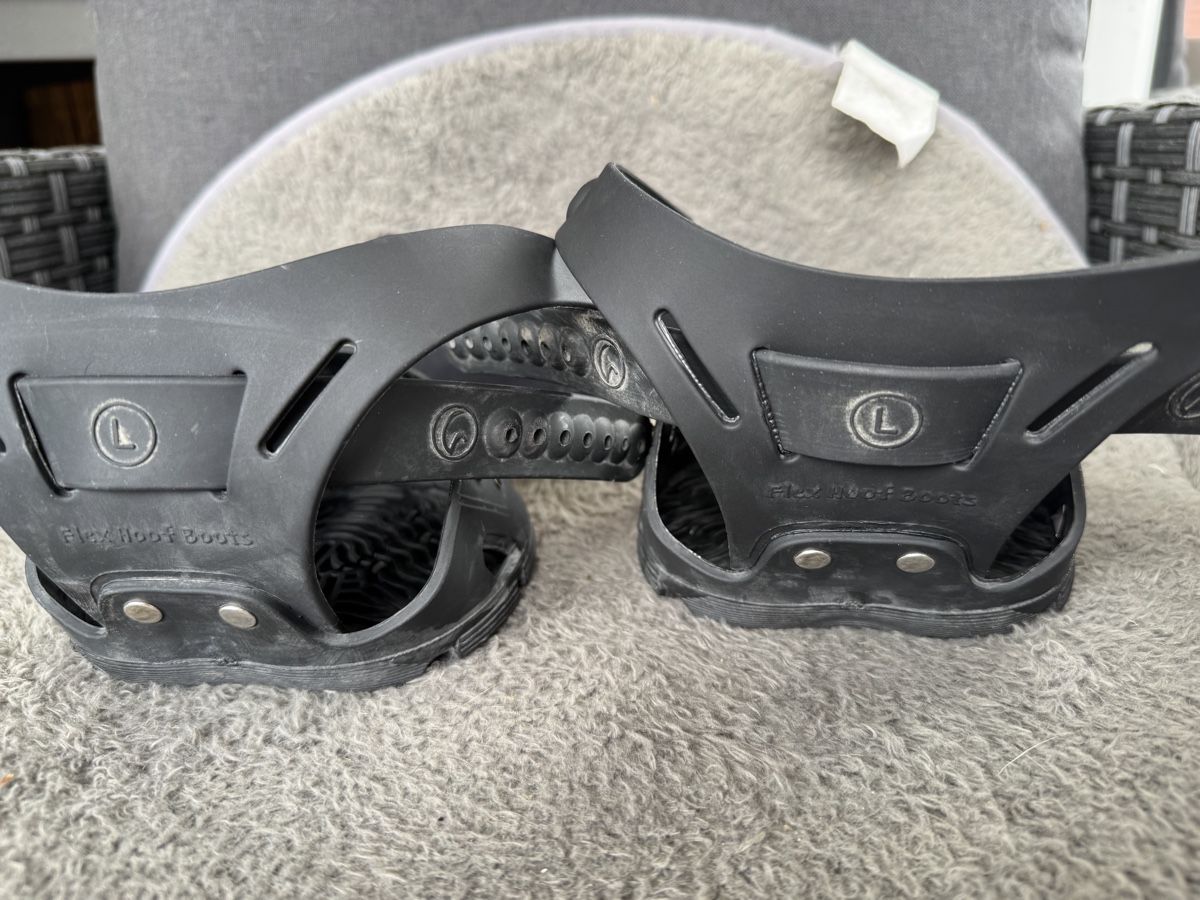 Scarpe per cavalli: Flex Hoof Boots 125 – Usato da Oberembrach venduto da Ballingo 3