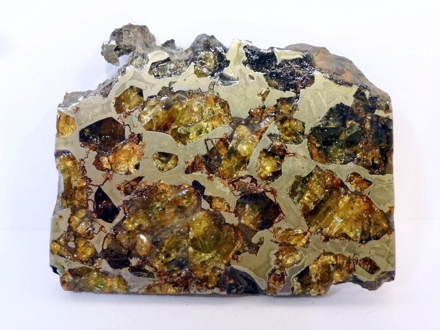 Minerali & Pietre curative: Meteorit PALLASIT Eisen-Stein-Meteorit BRAHIN BELARUS – Nuovo (secondo la descrizione) da Kerzers venduto da djstarsky73 6