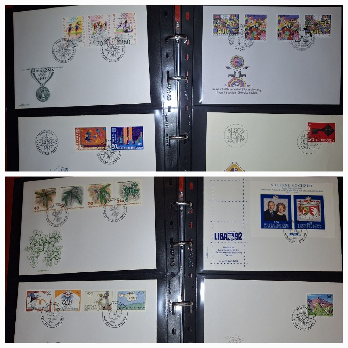 Tutti i francobolli: Div. FDC Liechtenstein  – Usato da Balgach venduto da SIMEON27 2