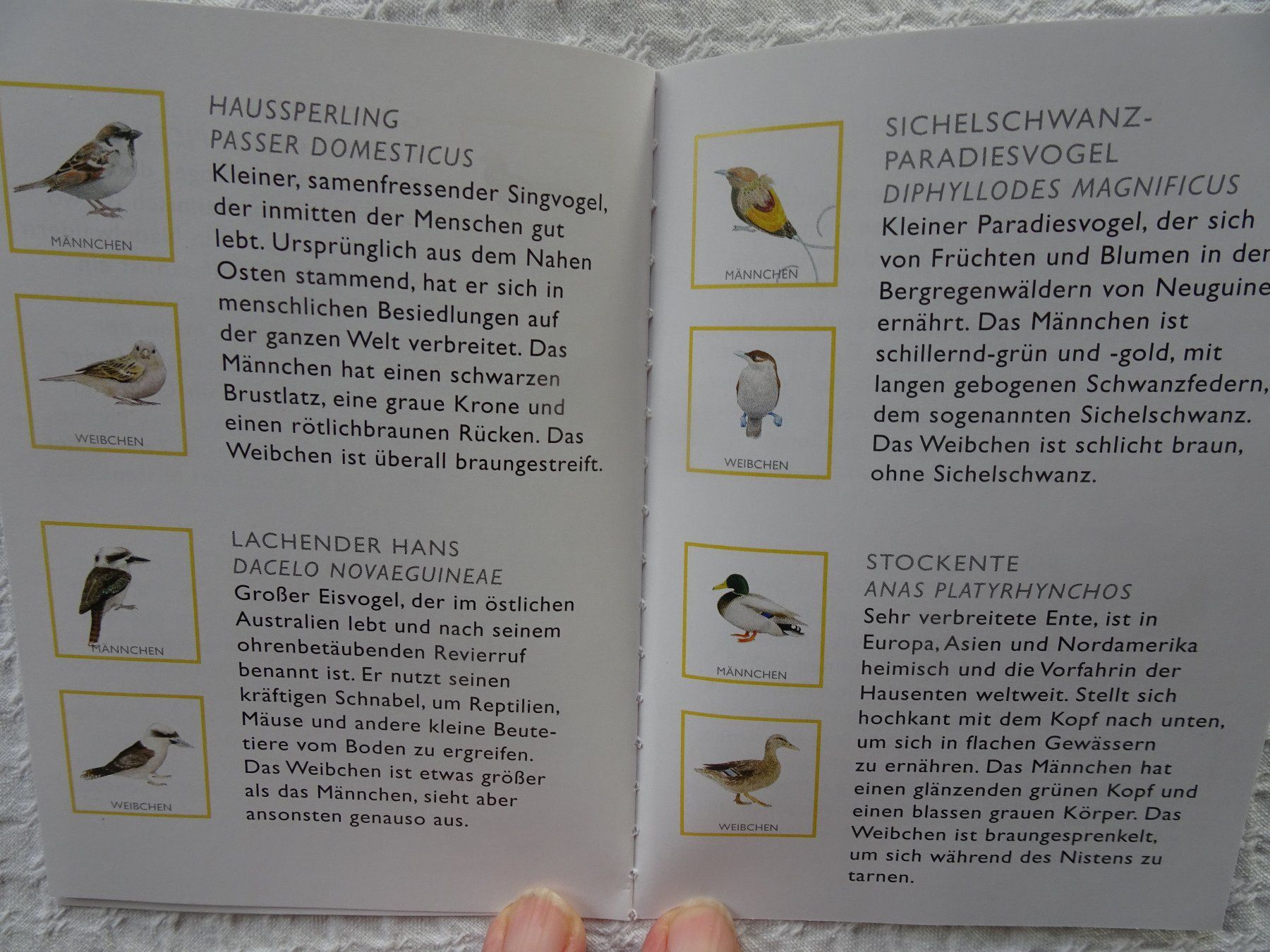 Giochi: Vogelpaare - Memo-Spiel – Nuovo (secondo la descrizione) da männedorf venduto da purzelchen 7