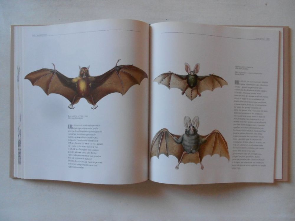 LES ANMAUX VUS PAR LES GRANDS MAITRES Kaufen auf Ricardo