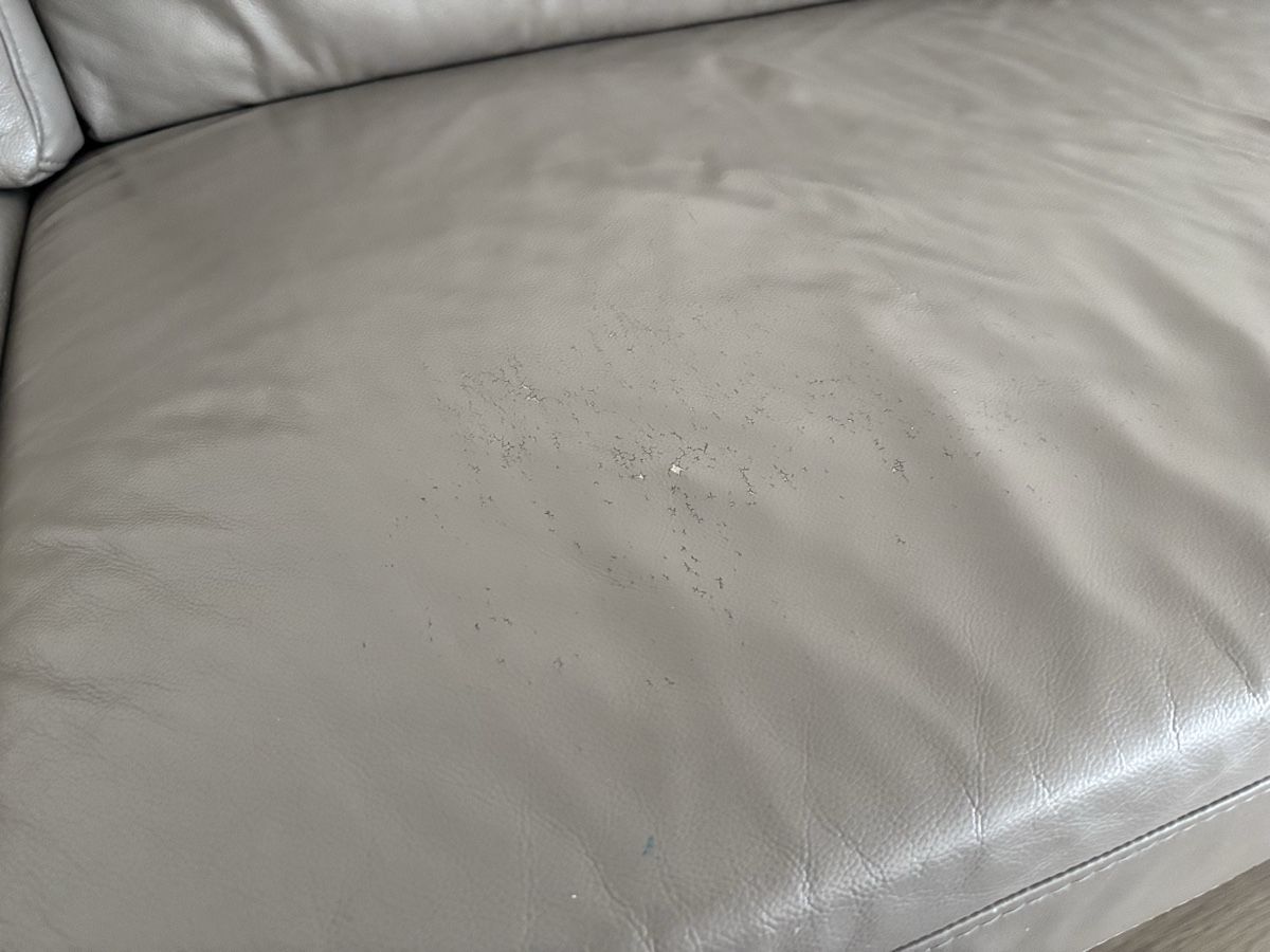 Divani: Ledersofa – Usato da Rothrist venduto da pj83 5