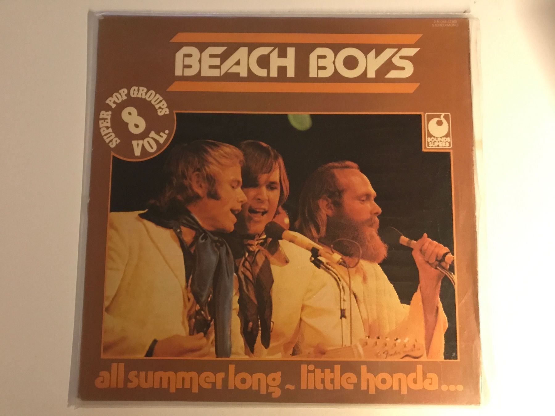 Dischi in vinile: The Beach Boys LP – Usato da Gutenswil venduto da Hamzian