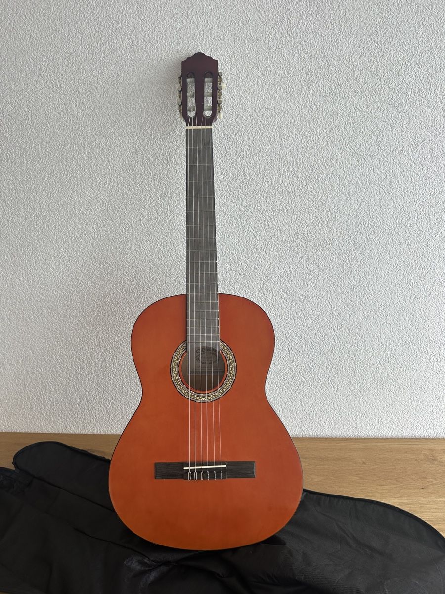 C.Giant Strumenti musicali: Gitarre C. Giant – Usato da Schaffhausen venduto da pinca19 4