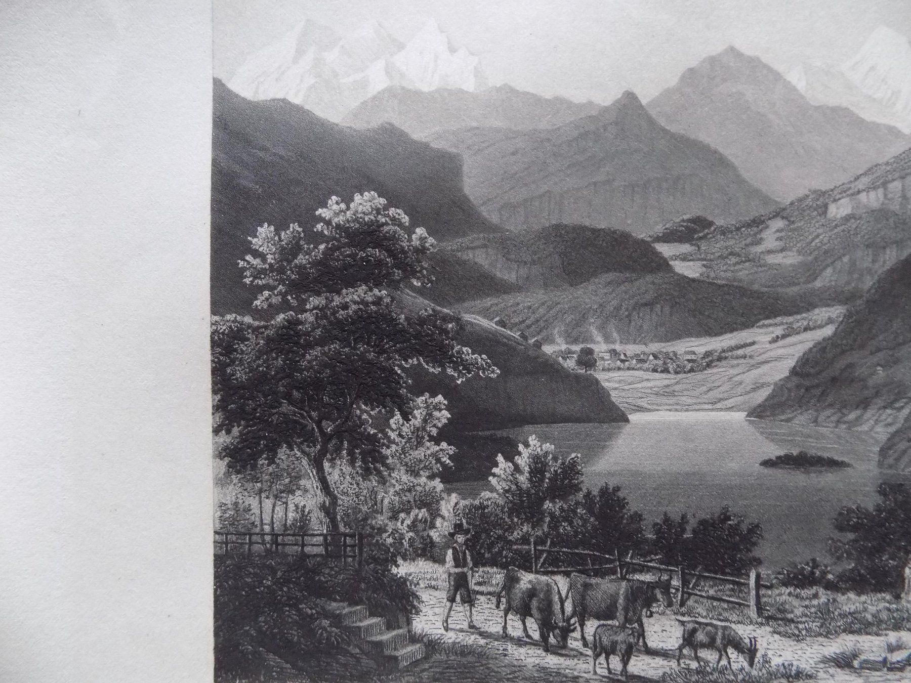 Incisioni: Lungernsee – Usato da Risch venduto da Rischli15 7