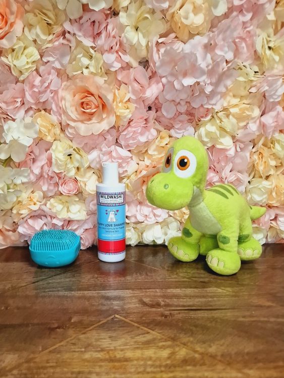 Wildwash Puppy Love Shampoo + Duschbürste + Hundespielzeug Kaufen auf Ricardo