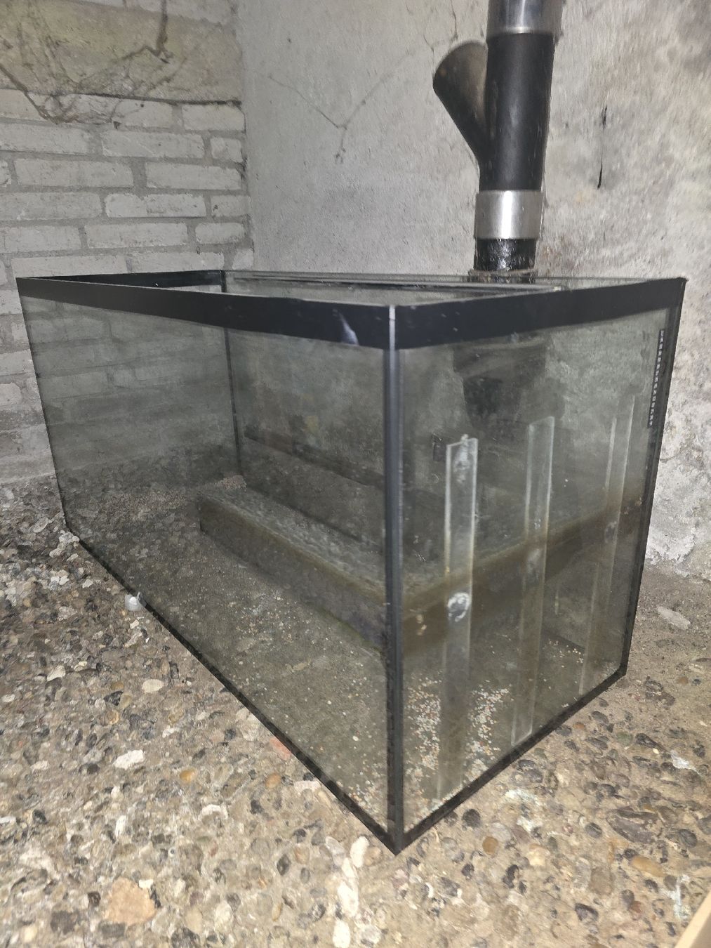 Acquari: Aquarium/Glass Terrarium – Usato da Zürich venduto da jjr_62ng 1