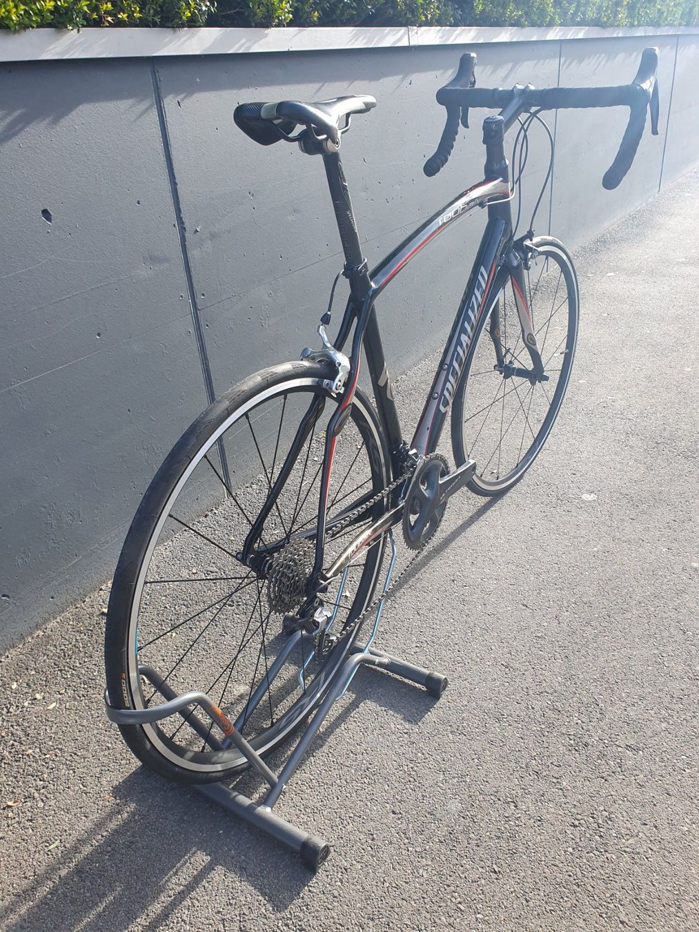 Specialized Biciclette: Specialized Roubaix expert Top zustand – Usato da Baar venduto da Team_Di_Sevo 1