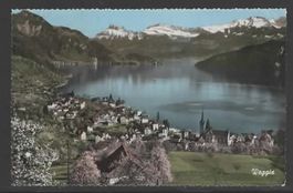 WEGGIS  14.IX.1960  (D