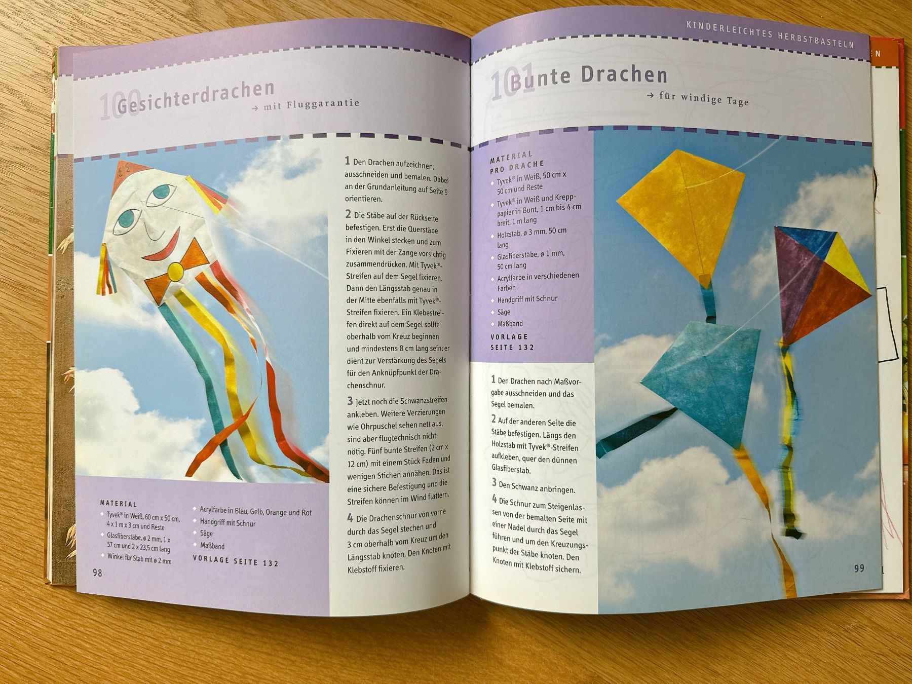 Libri: Bastelbuch 101 schönste Herbstideen – Usato da Muttenz venduto da denise06 3