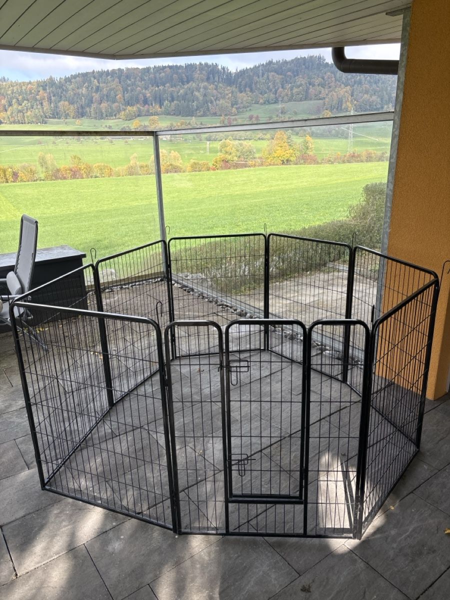 Gabbie, trasporto & Sicurezza: Hundegitter – Usato da lenggenwil venduto da north_vegas 2