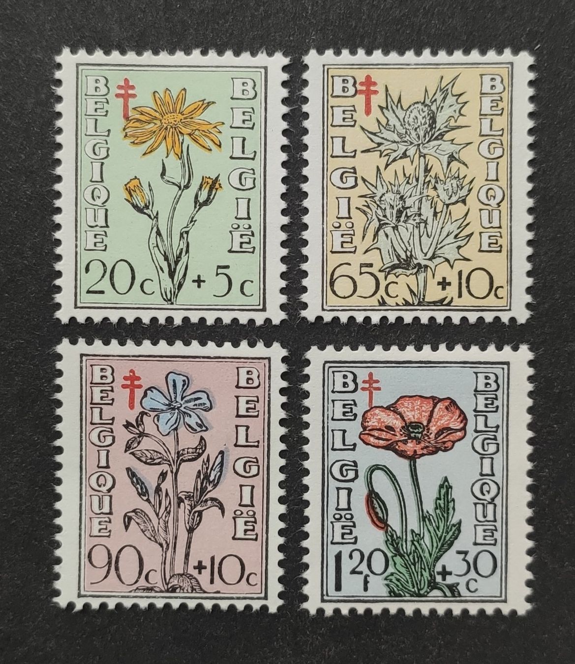 Alle Briefmarken: Belgien 1949 ungestempelte – Gebraucht aus Wil SG von Zazal