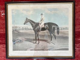 St.Albans englisches Vollblut Pferd Hengst 1870 Litho.