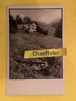1929. Im Wiesengrund  D-Mischol-Schiers