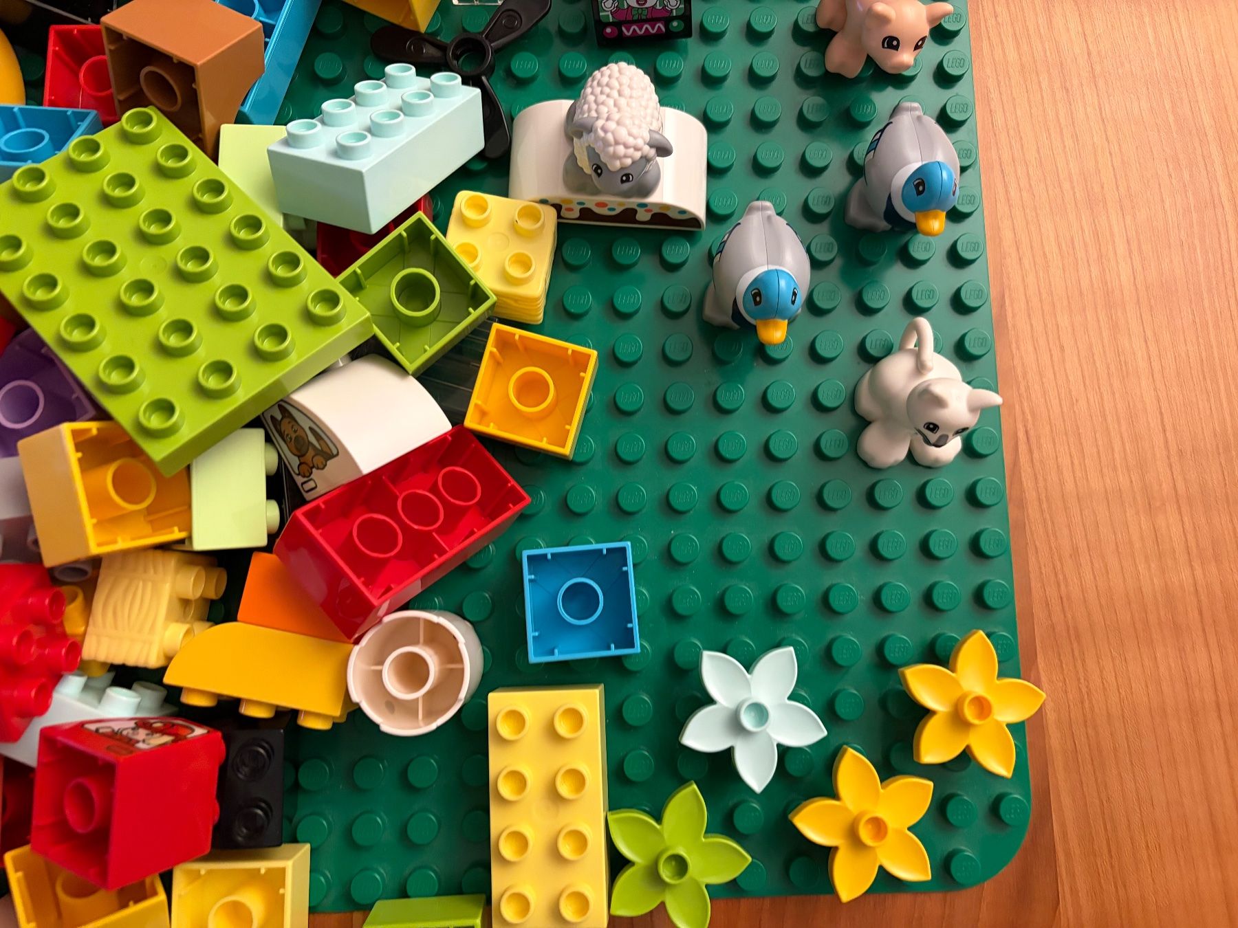 Spielzeuge: Duplo Bausteine mit Bauplatte – Gebraucht aus Baden von Daphne19