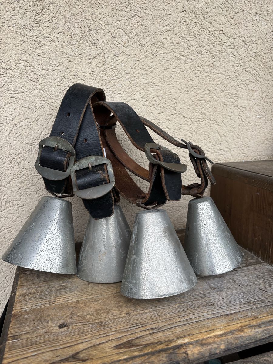 Cloches & sonnailles: Schaf/Ziegenglocken. – D'occasion à Schangnau par Roseggli82