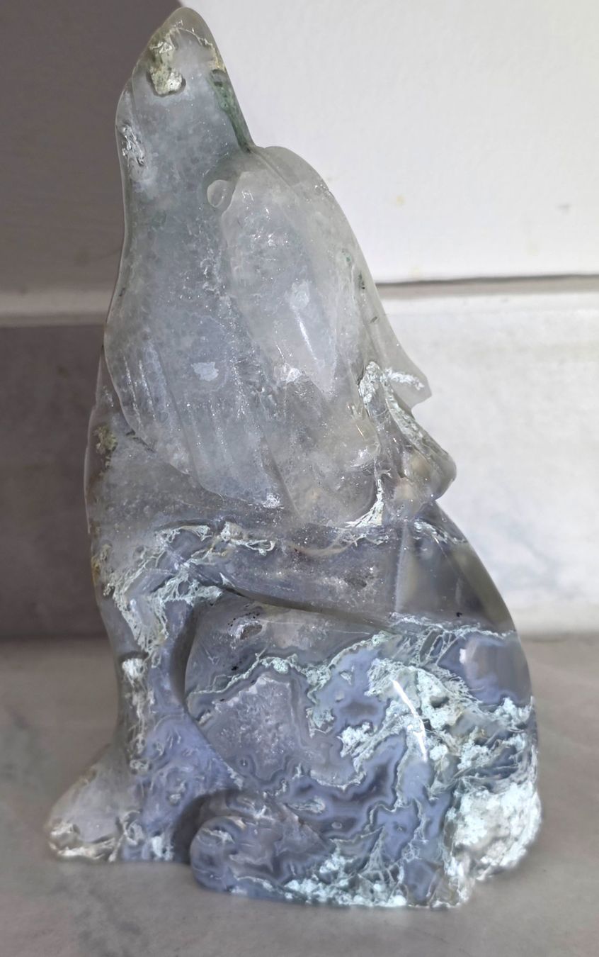 Minerali & Pietre curative: Moosachat Wolf 377g – Nuovo e nell'imballaggio originale da Matzingen venduto da Shay_Crystalz 2