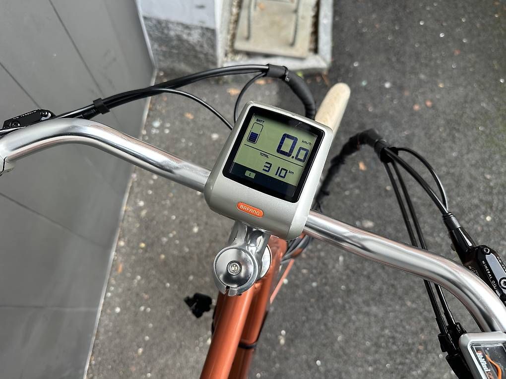 Vélos: e-bike Ego Moviment Cäsar 28   – D'occasion à Quartino par DiloUsato 9