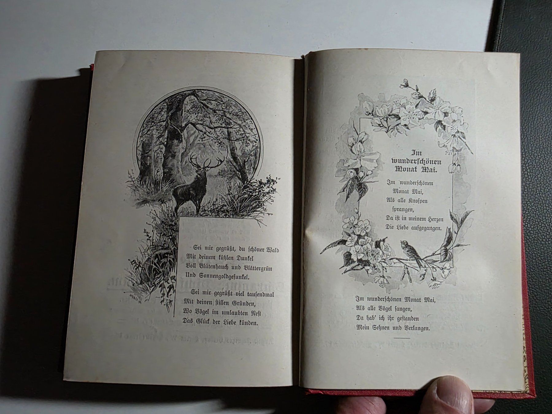 Libri: Der gute Ton oder das richtige Benehmen -  H. Schramm 1900 – Usato da Walterswil BE venduto da Lonitti 4